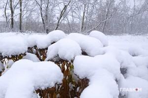 Україну засипе снігом: прогноз погоди на 17 грудня