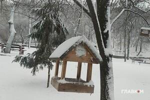 В Україні вдарять сильні морози: прогноз погоди на 19 грудня