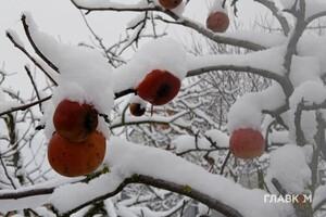 В Україну йде потепління: якою буде погода 21 грудня