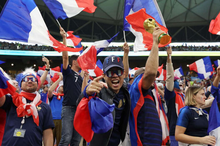Більше 200 тис. французів підписали петицію про перегравання фіналу з Аргентиною