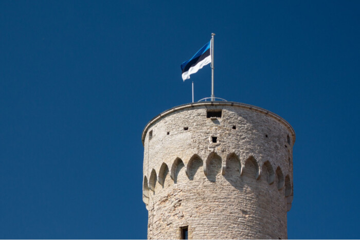 Естонія ухвалила новий пакет військової допомоги Україні