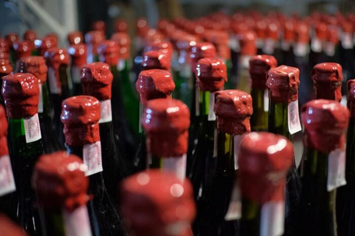 Стало відомо, яка країна Євросоюзу є найбільшим виробником вина
