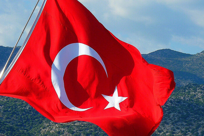 Туреччина проведе міжнародний газовий саміт у лютому
