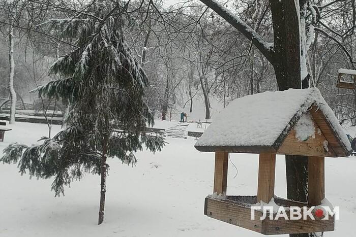 В Україну повертаються морози: якою буде погода 7 січня