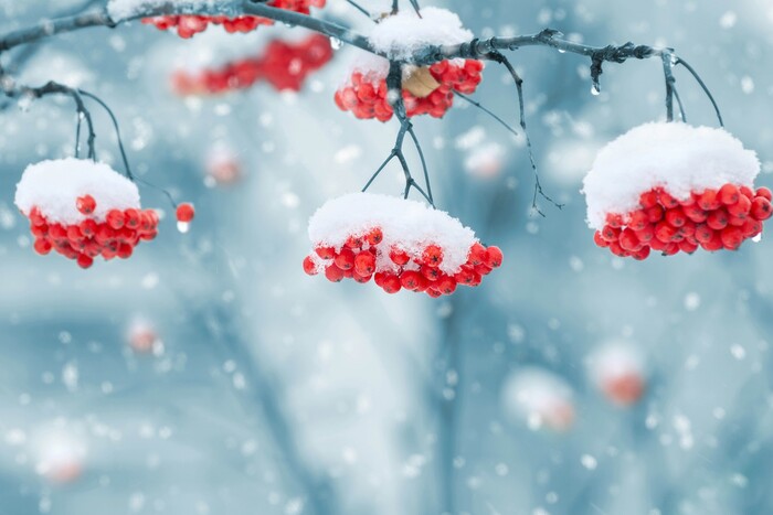 В Україні суттєво похолодає: якою буде погода 8 січня