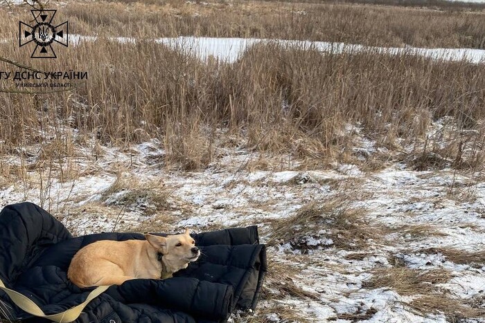 На Київщині чоловік провалився під кригу, рятувальники показали щемне фото його собаки 