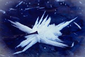 У Харкові через мороз з'явились унікальні крижані «малюнки» (фото)