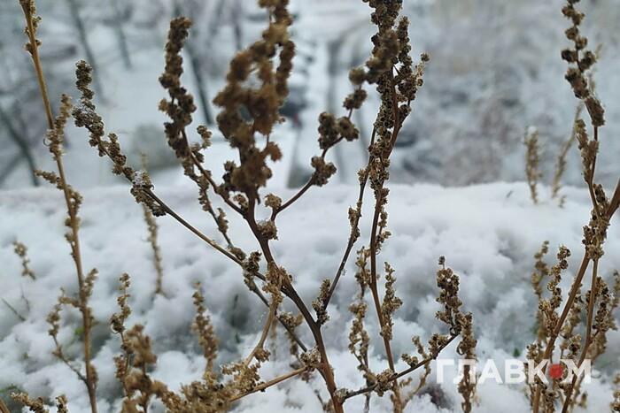 Синоптики оголосили штормове попередження: де в Україні погіршиться погода 