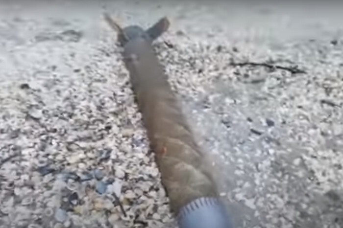 На пляж в Румунії винесло двигун російської ракети (відео)