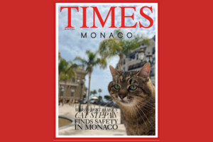 Кіт Степан із Харкова став зіркою журналу Times у Монако (фото)