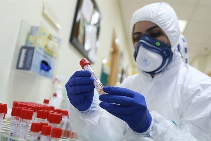 В Китае за неделю из-за коронавируса умерло более 10 тыс. человек