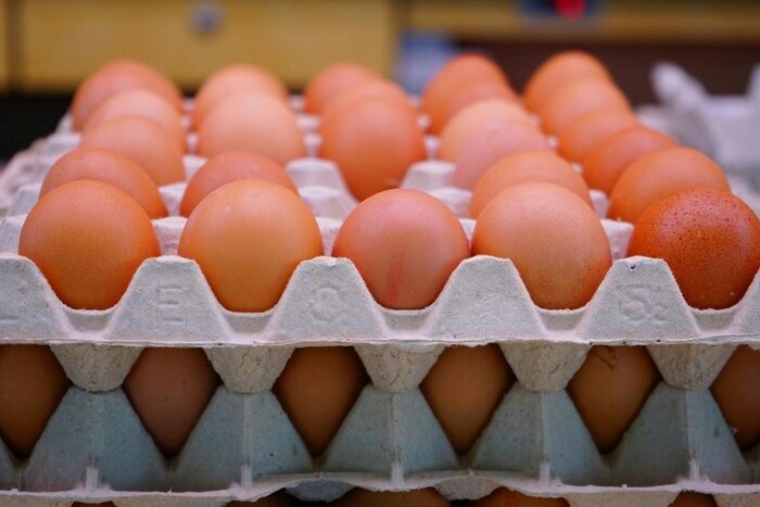 Яйця для ЗСУ: парламент прокоментував «продовольчий» скандал