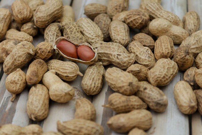 Викликає рак: до України завезли отруйний арахіс з Єгипту