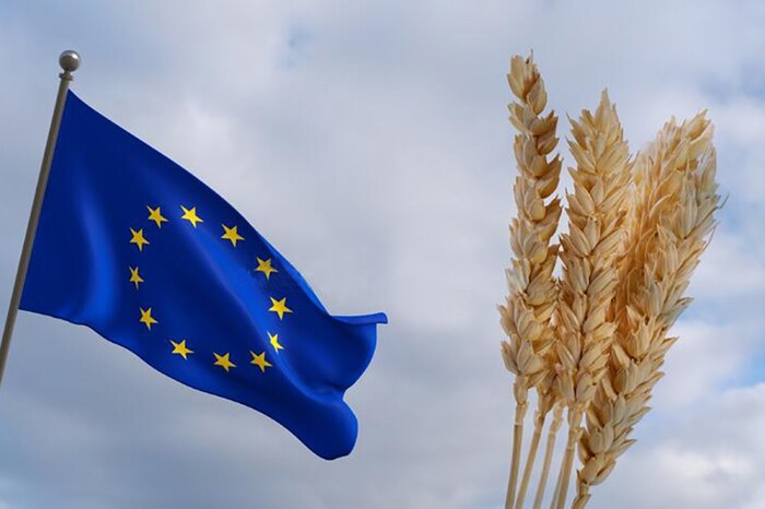 Європейські фермери поскаржились на дешеве українське зерно