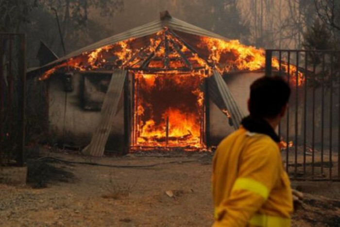 Чилі охопили масштабні лісові пожежі: 13 загиблих