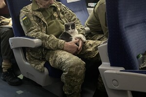 Військовий з котом на руках у потязі Краматорськ-Київ: мережу сколихнуло зворушливе фото