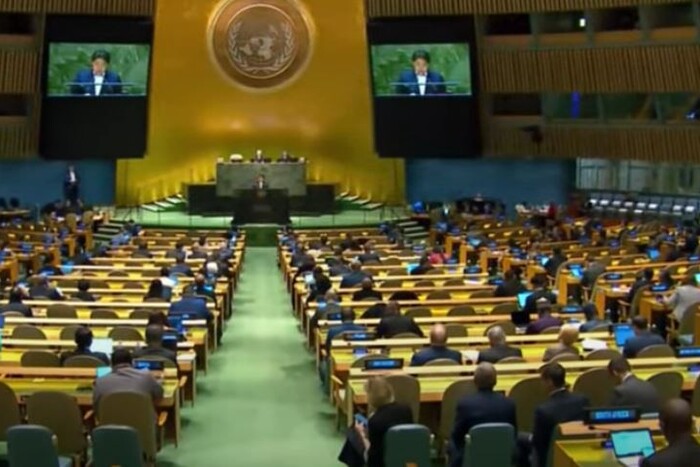 Генасамблея ООН підтримала українську формулу миру