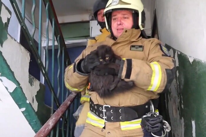 Рятувальники дістали з-під завалів знищеної ракетою багатоповерхівки в Запоріжжі кішку
