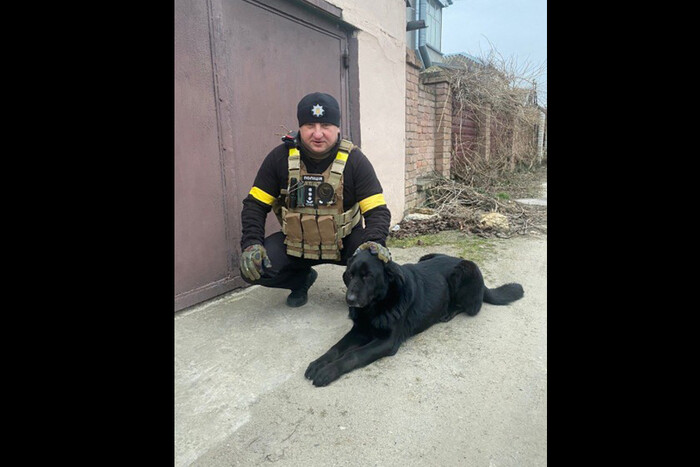 Сидів на прив'язку біля ракетної вирви: поліцейські врятували покинутого в Херсоні собаку