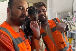 Собаку з трьома цуценятами врятовано через місяць після землетрусу в Туреччині