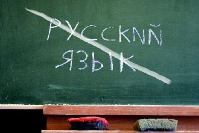 Нужен ли российский язык в школах: результаты опроса
