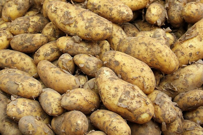Міноборони збиралося купувати картоплю по 27 гривень за кілограм. Оприлюднено документи