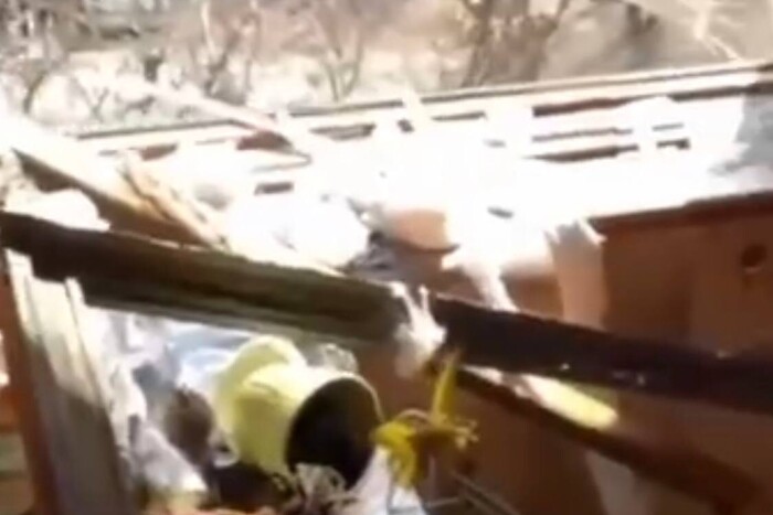 Житель Запоріжжя показав свою квартиру в перші секунди після прильоту ракети (відео)