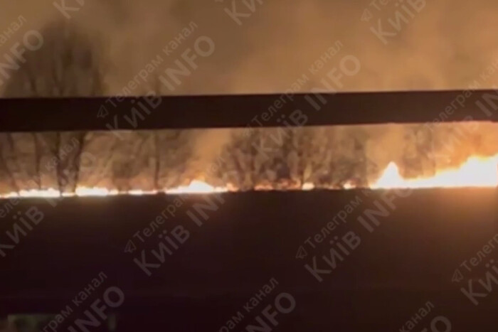 На Київщині масштабна пожежа: горить сухий очерет (відео)