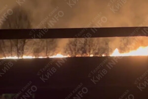 На Київщині масштабна пожежа: горить сухий очерет (відео)