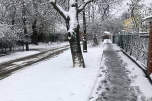 Квітневий снігопад у Вінниці: фото