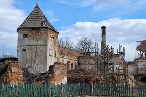 Поморянський замок руйнується на очах: активісти закликають реставрувати пам'ятку (фото)