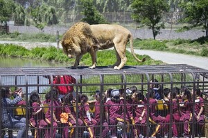 Парламент змінює процедуру створення парків і зоопарків. Навіщо?