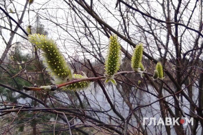 як не святкувати хелловін