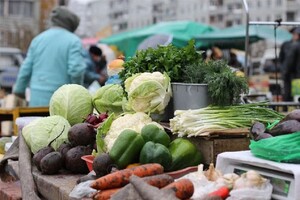 Через окупацію деяких областей та війну Україна почала вирощувати менше овочів та збіжжя