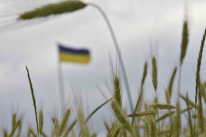Варшава призупиняє імпорт сільгосппродукції з України. Київ відреагував