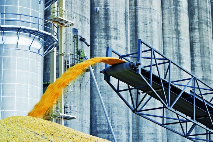 Угорщина призупиняє імпорт сільгосппродукції з України: деталі