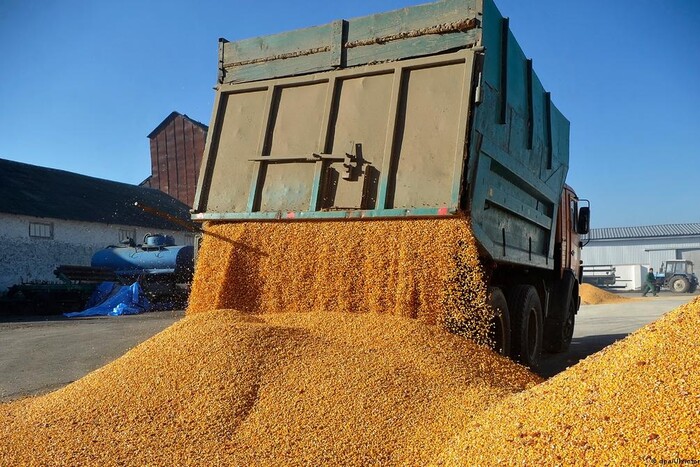 Ще одна країна заборонила імпорт українського зерна