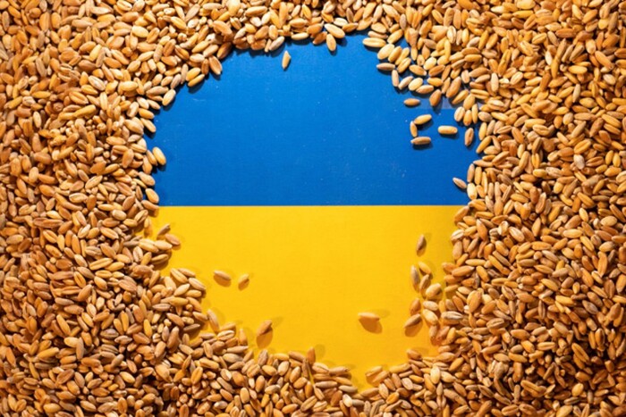 Как нам спасти транзит украинского зерна
