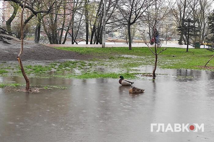 Короткочасні дощі, подекуди з грозами: прогноз погоди в Україні на 19 квітня