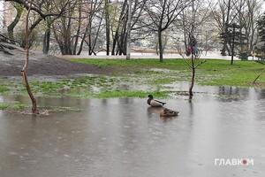 Короткочасні дощі, подекуди з грозами: прогноз погоди в Україні на 19 квітня