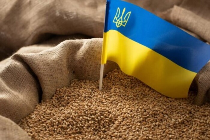 Єврокомісія готова заборонити імпорт українського зерна