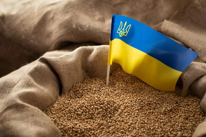 Еврокомиссия готова запретить импорт украинского зерна