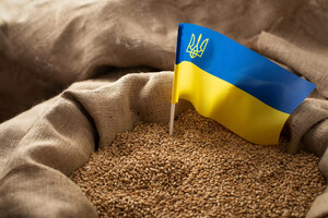 Еврокомиссия готова запретить импорт украинского зерна