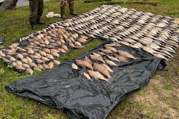 За 300 карасей и тарани полмиллиона штрафа. На Киевщине пойман наглый рыболов (фото)