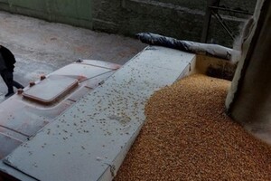 Офіційно: Чехія ухвалила рішення щодо імпорту сільгосппродукції з України