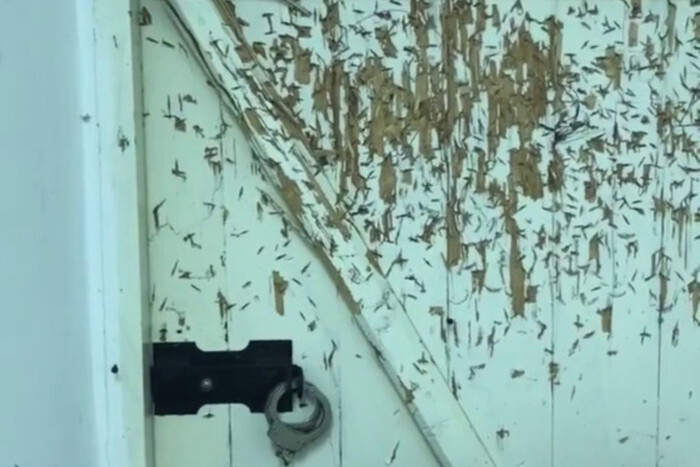 Мінкульт показав понівечені двері Лаври, які лишили після себе представники УПЦ МП (відео)