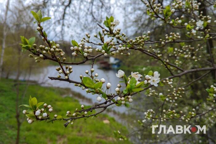 Україну знову охоплять дощі: прогноз погоди на 21 квітня