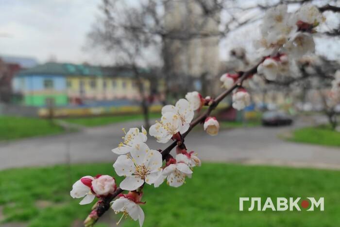Грози та дощі: прогноз погоди в Україні на 26 квітня