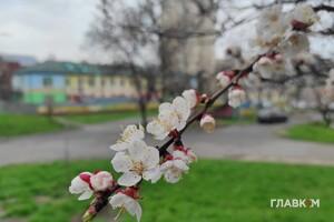 В Україні сьогодні збережеться мінлива волога погода