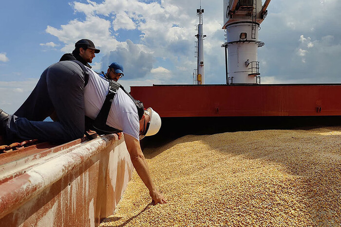 ООН готова допомогти ЄС вирішити проблему з залишком українського зерна – Politico